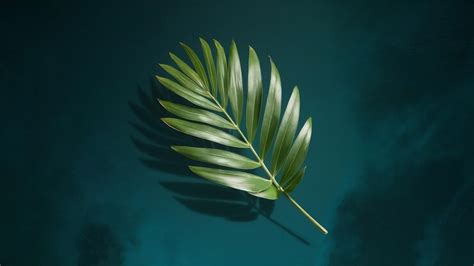 Fresh tropical palm leaf shadow on blue backdrop | Premium AI-generated ...