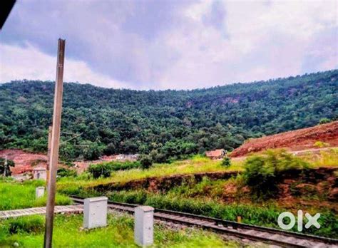 6 Acres Landscape | Ratapani Wildlife Sanctuary & Tiger Reserve - Lands ...