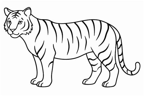 Tiger outline Images - Free Download on Freepik