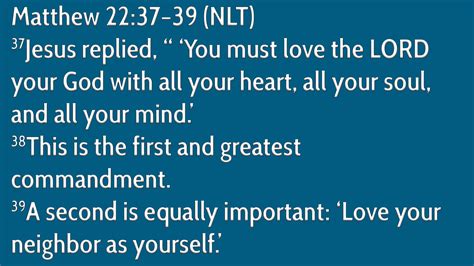 Scripture Loop 的图像结果