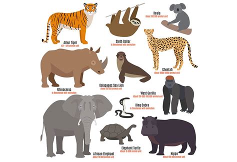 Image result for 5 Extinct Animals
