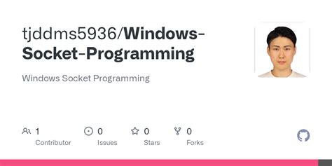 Socket Programming Windows 的图像结果