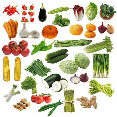 常见蔬菜名称大全,常见的100种蔬菜名称(4) - 伤感说说吧