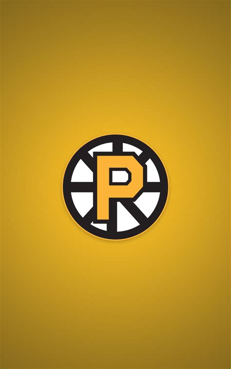 Providence Bruins New Logo
