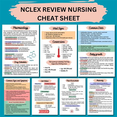 Nclex rn nurse study notes nclex review nclex bundle etsy – Artofit