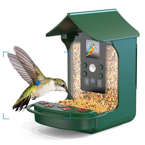 Walmart Bird Feeder With Camera at Julie Neel blog