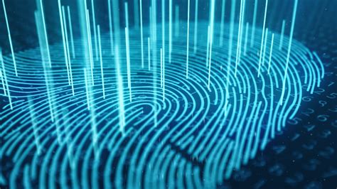 Panini Check Scanner 的图像结果