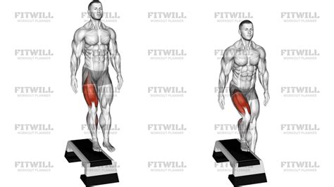 Image result for Contralateral Step-Up