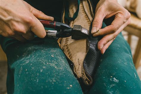 Image result for Ffe Schola