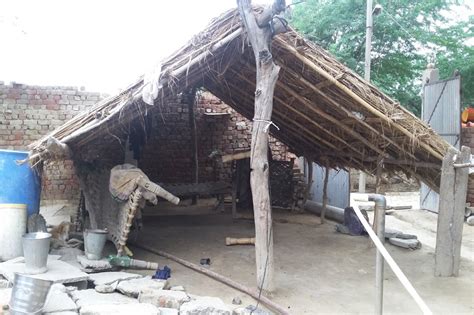 VIDEO: ये है टॉयलेट की अजीब प्रेम कथा, शौचालय कहीं बन गए रसोई कहीं ...