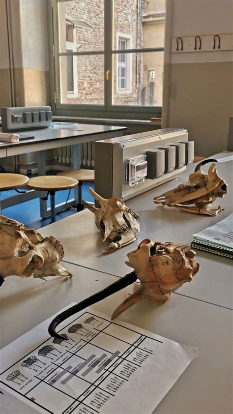 Zoology Biology Laboratory