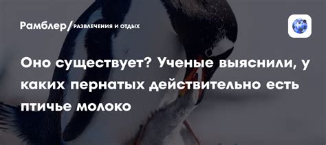 Оно существует? Ученые выяснили, у каких пернатых действительно есть ...