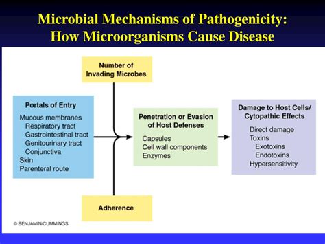 Image result for Mechanism of Microbial Pathogenicity