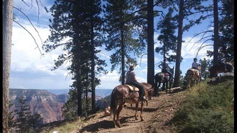 CANYON TRAIL RIDES (2026) All You Need to Know BEFORE You Go (with ...