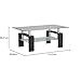 Home Centre Finn Tempered Glass Top Coffee Table - Black : Amazon.in ...
