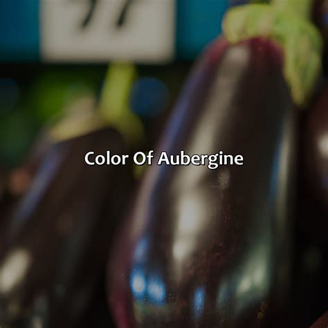 Aubergine Color Names at Jessica Fly blog