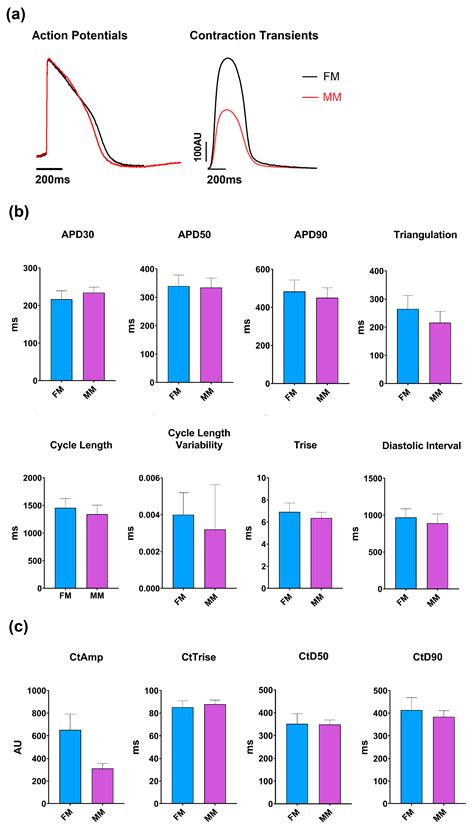 Does Enhanced Structural Maturity of hiPSC-Cardiomyocytes Better for ...