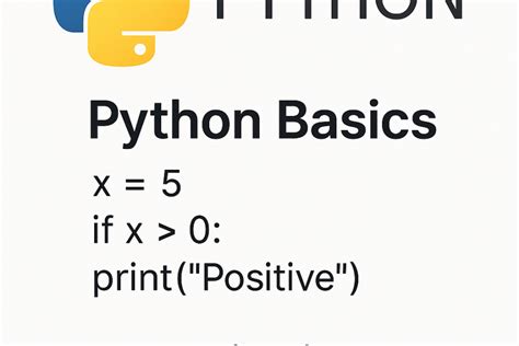 Understanding Python 的图像结果