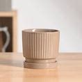 Roma Ceramic Pot – Ugaoo
