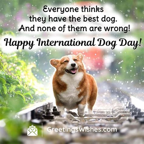 International Dog Day Wishes, Messages, and Quotes (26 August ...