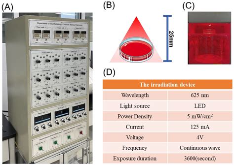 Upturn Strategies for Arachidonic Acid-Induced MC3T3-E1—625 nm ...