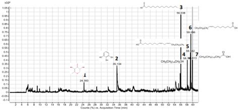 Rosa davurica Pall. Improves Propionibacterium acnes-Induced ...