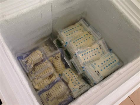How To Store Breast Milk In Deep Freezer | Storables