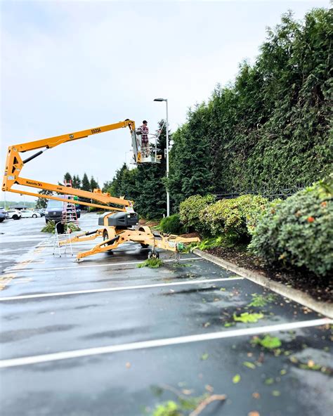 Tree Pruning Portland 的图像结果