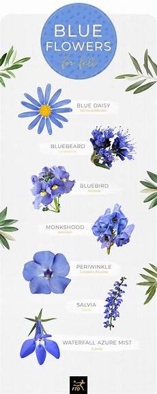 Names Of Blue Flowers For Weddings by 30 Types Of Blue Flowers Ftd Names Of Blue Flowers For Weddings