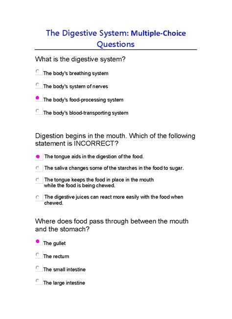 The digestive system multiple choice questions - The Digestive System ...