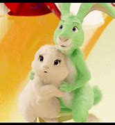 Image result for Baby Rabbit Growth