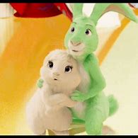 Image result for Cute Rabbit Pics