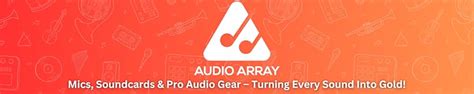 Image result for Array Mics Explained