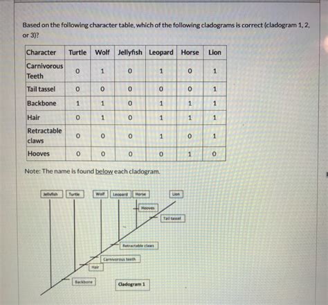 Image result for Cladogram Character Table