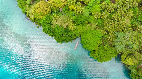 Bing Wallpaper India 的图像结果