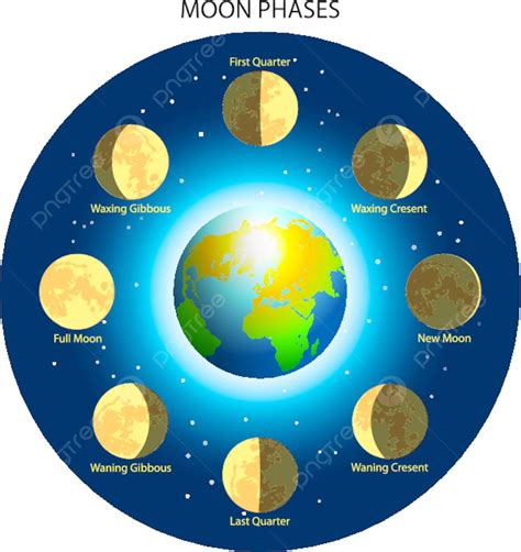 Moon Phases System Color Isolated Vector, System, Color, Isolated PNG ...