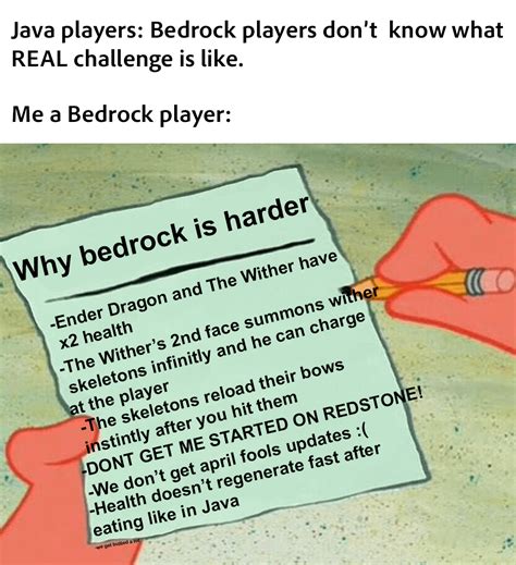 Image result for Bedrock vs Java Player Meme