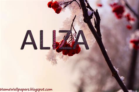 Aliza Name Wallpapers Aliza ~ Name Wallpaper Urdu Name Meaning Name ...