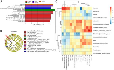 The Lipid-Metabolism-Associated Anti-Obesity Properties of Rapeseed ...