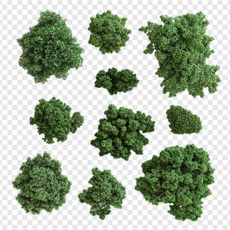 Arbres Plan PSD, modèles PSD gratuits de haute qualité à télécharger ...