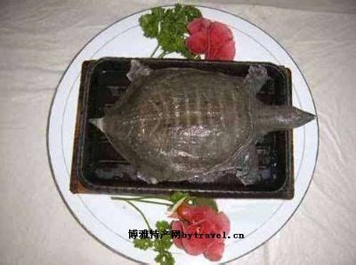 铁板甲鱼-香洲区特产