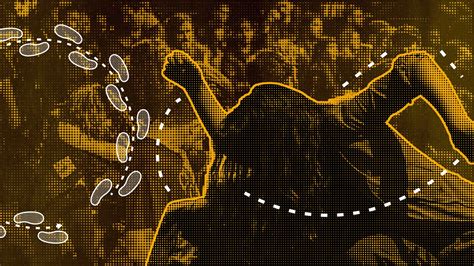 JSON Mosh 的图像结果