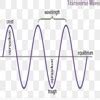 draw a diagram to show be a propogration of part (a) longitudinal wave ...