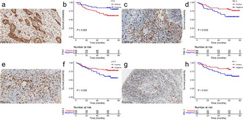 Comprehensive analysis of single-cell and bulk RNA-sequencing data ...