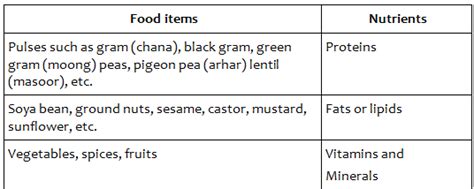 Soil Summary Class 7 NCERT Summary