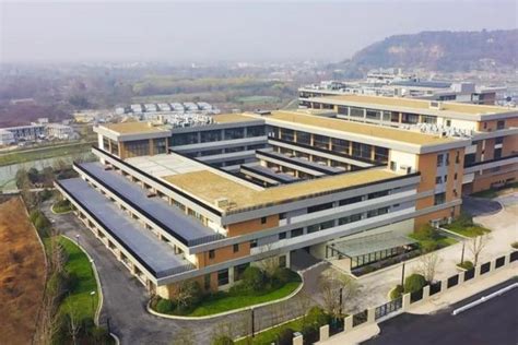 2022年杭州国际学校大盘点（排名、招生简章、学费、校园开放日）_腾讯新闻