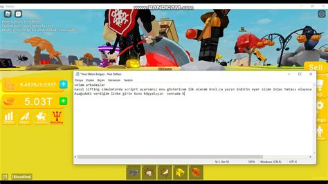 Homework Lifting Simulator Script 的图像结果