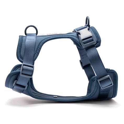Buy Furry & Co Bold Harness for Dogs (Indigo Blue) online at Supertails.com