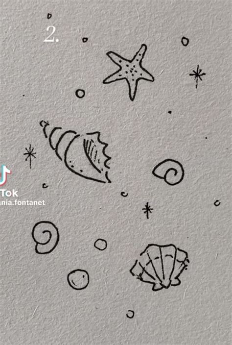 Image result for Pretty Shell Drawing