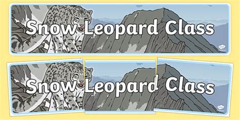 👉 Snow Leopard Class Display Banner